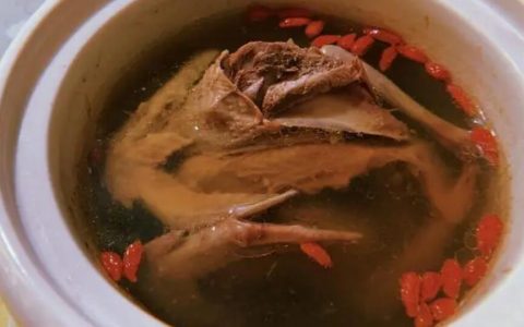 【图文】鸽子汤怎么做