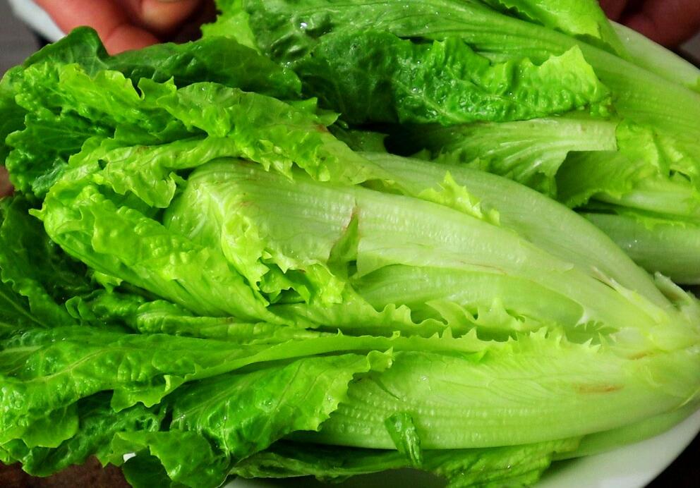 【图文】生菜怎么做好吃又简单