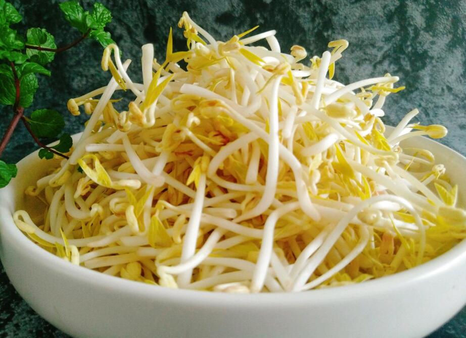 【图文】绿豆芽怎么炒好吃又简单