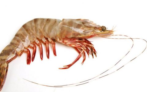 【图文】基围虾怎么做好吃又简单