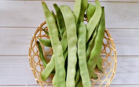 【图文】扁豆怎么做好吃又简单