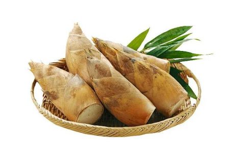 【图文】笋怎么做好吃法大全