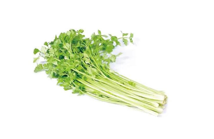 【图文】芹菜怎么做好吃又简单