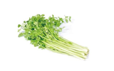 【图文】芹菜怎么做好吃又简单
