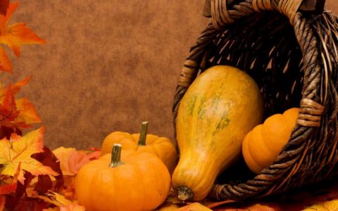 【图文】南瓜怎么做好吃家常菜做法