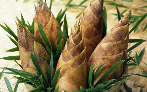 【图文】冬笋怎么做好吃又简单