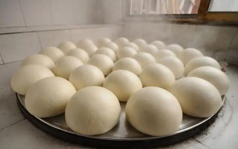 【图文】馒头的做法和配方(馒头的做法和配方比例)