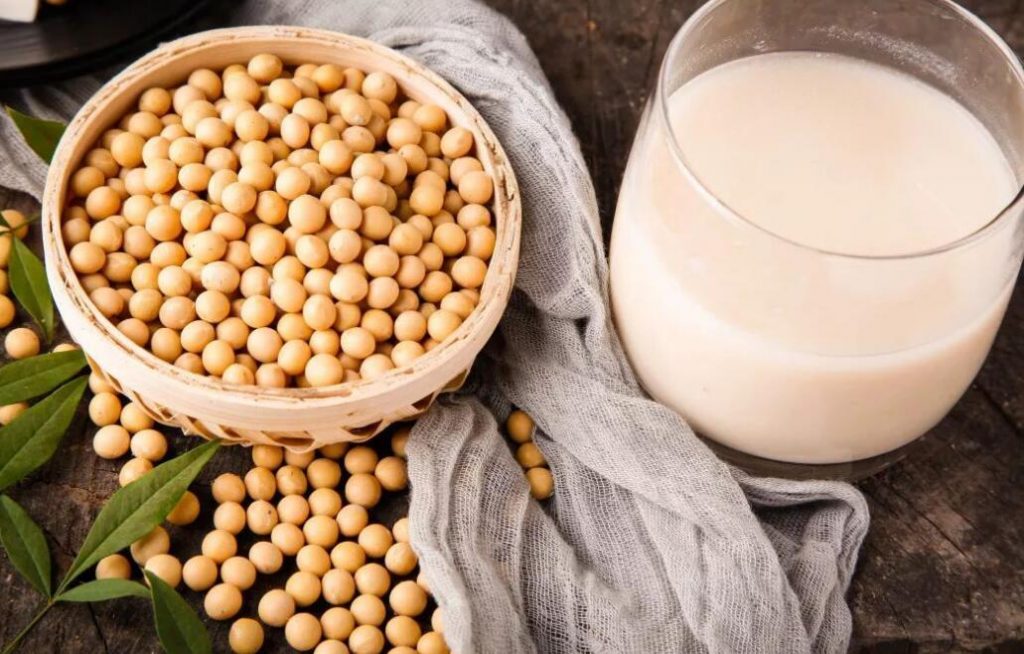 【图文】豆浆的做法和配方（豆浆的做法和配方比例是多少）