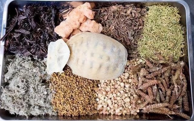 古法龟苓膏的做法与配方（龟苓膏的做法与配方比例）