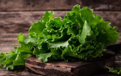 【图文】生菜怎么做最好吃（生菜怎么做最好吃又简单）