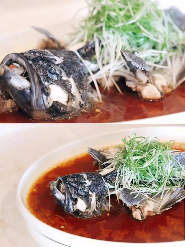 海鲈鱼的做法大全家常做法（海鲈鱼的做法和步骤）