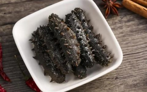 【图文】海参怎么做最好吃（海参怎么做好吃又简单）