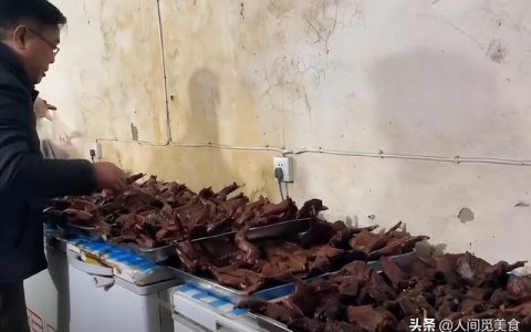 兔肉英语怎么写(兔肉英语怎么读)