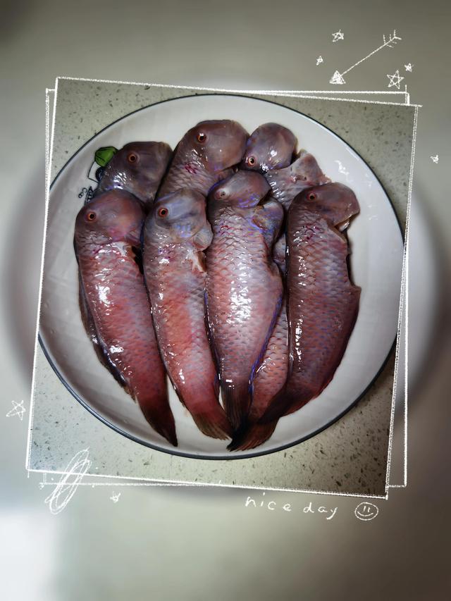 孜然鱿鱼的做法大全（鱿鱼的做法大全家常）