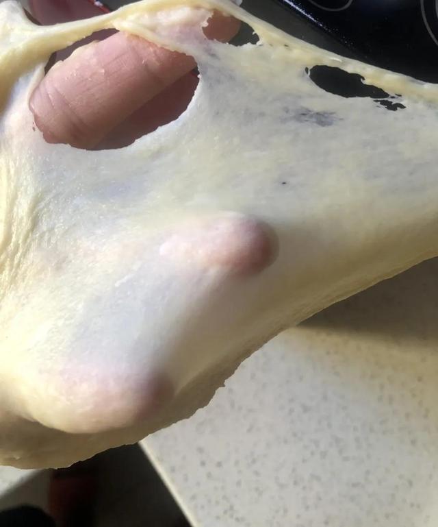 面包机的配方大全（面包机的配方比例）