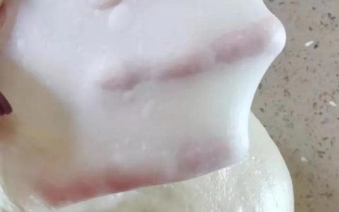 面包机的配方大全（面包机的配方比例）