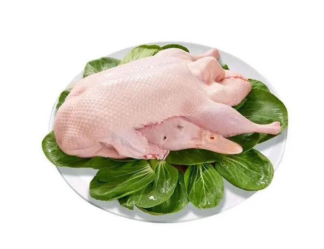 【图文】鸭肉怎么做好吃