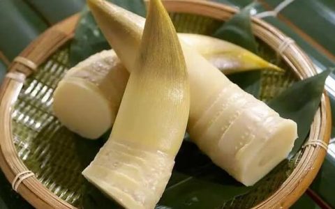 【图文】新鲜竹笋怎么做好吃