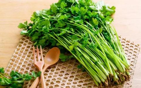 【图文】香菜怎么做好吃