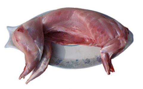 【图文】兔子肉怎么做好吃