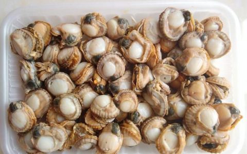 【图文】扇贝肉怎么做好吃