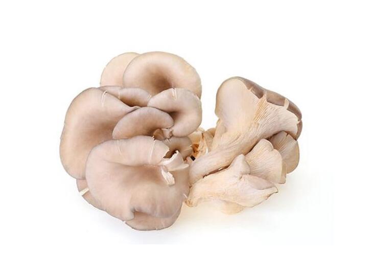 【图文】蘑菇怎么做好吃最简单的方法