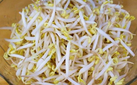 【图文】绿豆芽怎么做好吃又简单