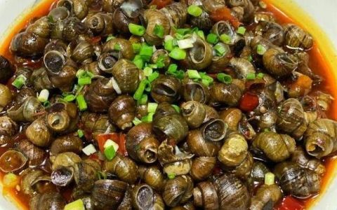 【图文】螺丝怎么炒好吃