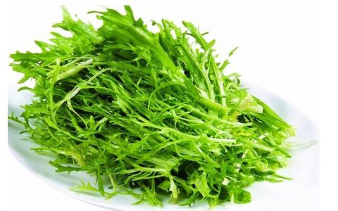 【图文】苦菊怎么做好吃又简单