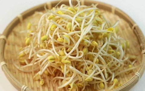 【图文】豆芽怎么炒好吃家常菜做法