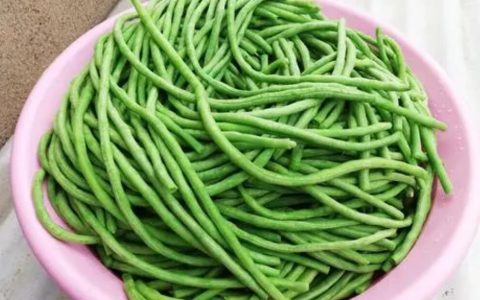 【图文】豆角怎么做好吃又简单又下饭