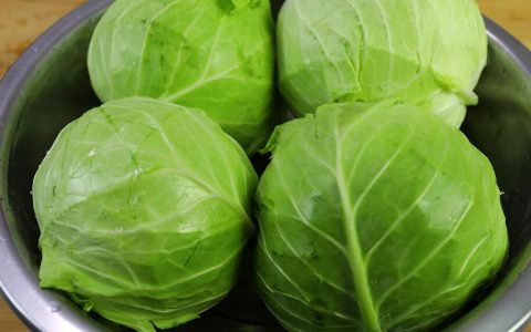 【图文】包菜怎么做好吃又简单