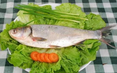 【图文】白鲢鱼怎么做好吃法大全