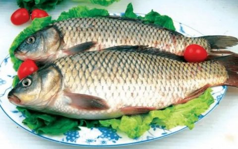 【图文】鲤鱼怎么做好吃家常做法