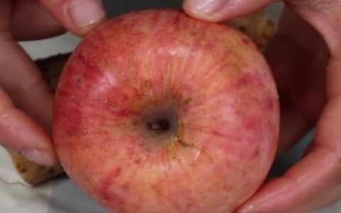 蓝莓山药怎么做好吃又简单（凉拌山药怎么做好吃又简单）