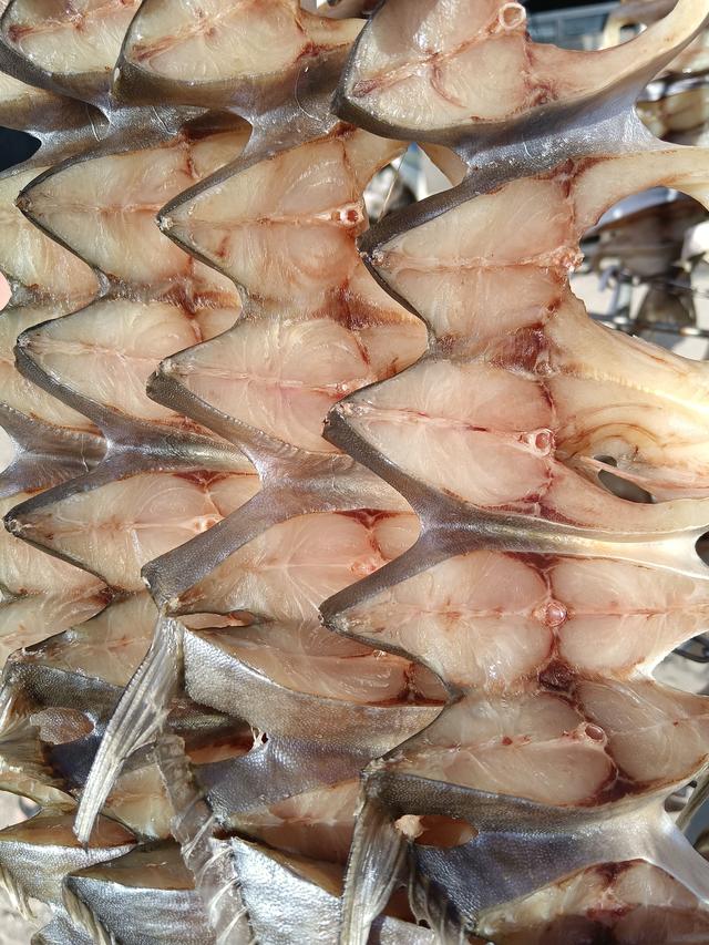 野生鲳鱼的做法大全（清蒸鲳鱼的做法大全）