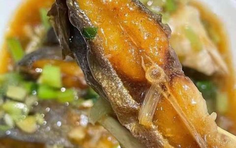 野生鲳鱼的做法大全（清蒸鲳鱼的做法大全）