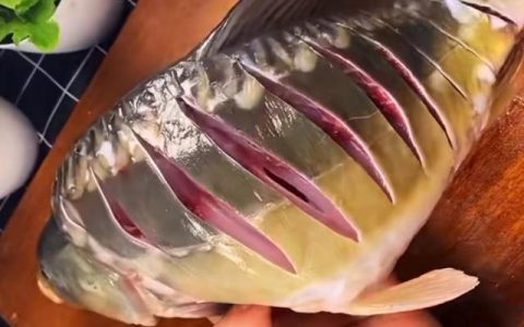 红烧鱼的家常做法简单步骤（红烧鱼的家常做法简单 视频）