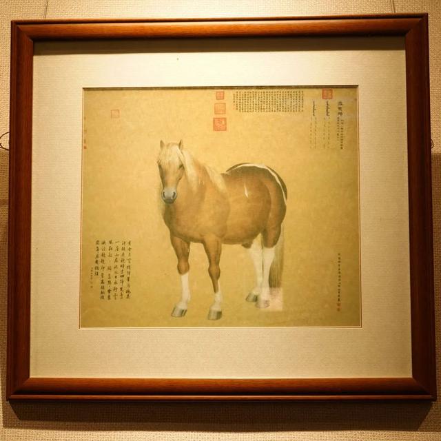 汤圆的做法步骤（汤圆冷水煮还是热水煮）