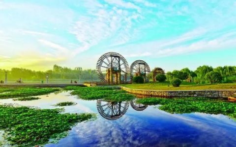 鲁菜菜谱大全带图片（鲁菜菜谱大全家常菜）
