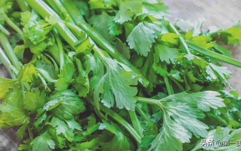 芹菜怎么做好吃 需要焯水吗（水芹菜怎么做好吃）