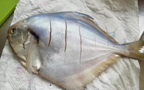 家常热菜的做法（热菜的做法大全）