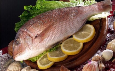 减肥不能缺蛋白质 多吃五种高蛋白鱼
