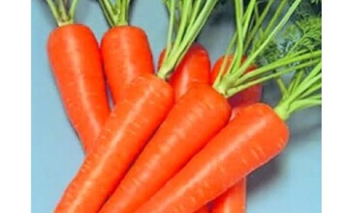 秋季排毒减肥蔬菜 促循环消肿 滋润享瘦一秋