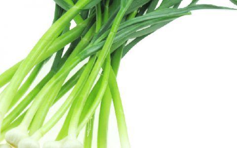 防病养颜的青色食物