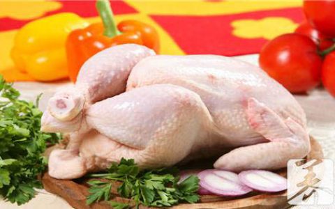 文昌鸡是什么鸡