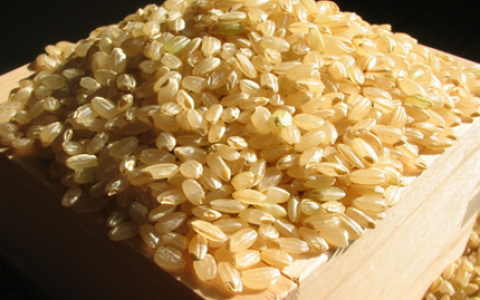 糙米减肥法 吃出瘦美人