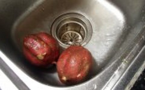 红薯烘饭的做法