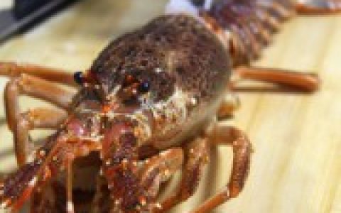 蒜茸开背蒸龙虾的做法