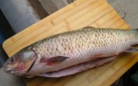 水煮鱼的做法2